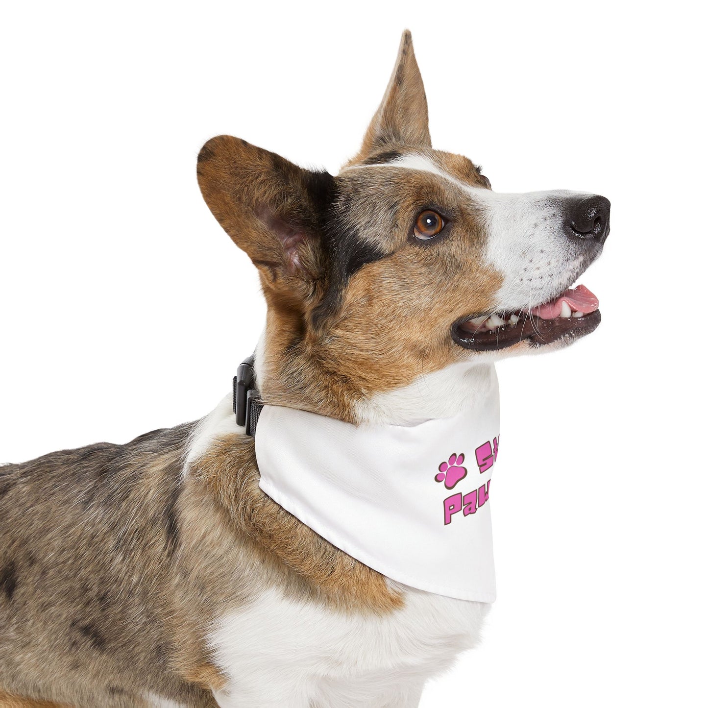 Pet Bandana Collar - Pet Friendly Quotes