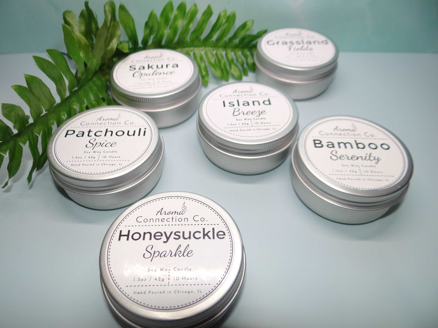 This sampler set consists of six 1.5oz tin soy wax candles from the new Spring Collection, featuring a variety of scents to explore. It's an ideal option for discovering all the spring fragrance options cost-effectively. It also makes for a unique and personalized gift, perfect as a holiday stocking stuffer.