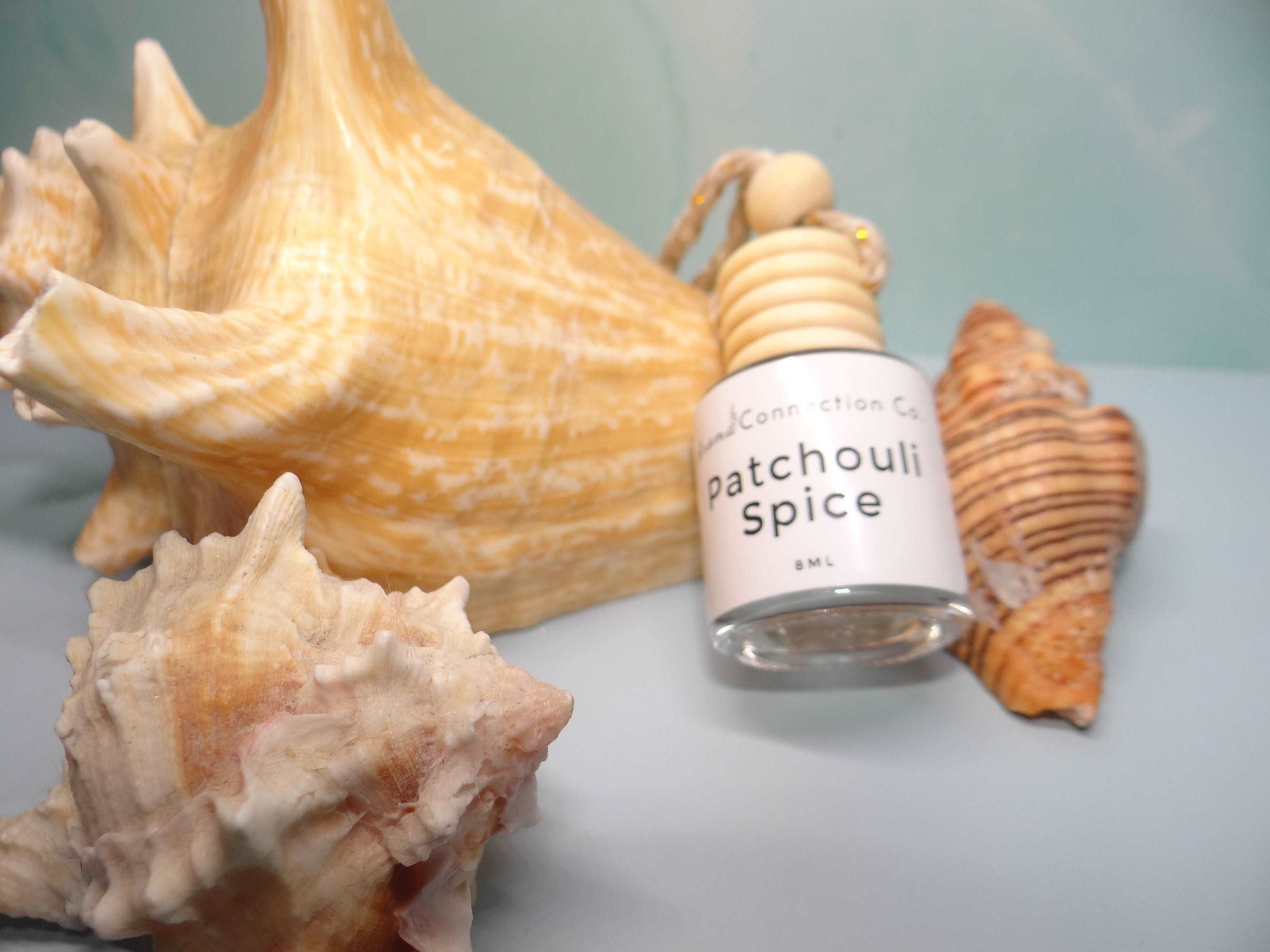 Enhance the scent of your car, office, or closet with our chic and compact hanging air fresheners. These diffusers are minimalist in design yet bursting with fragrant aromas. Choose from our Spring Collection fragrance oils to personalize your on-the-go scent experience.