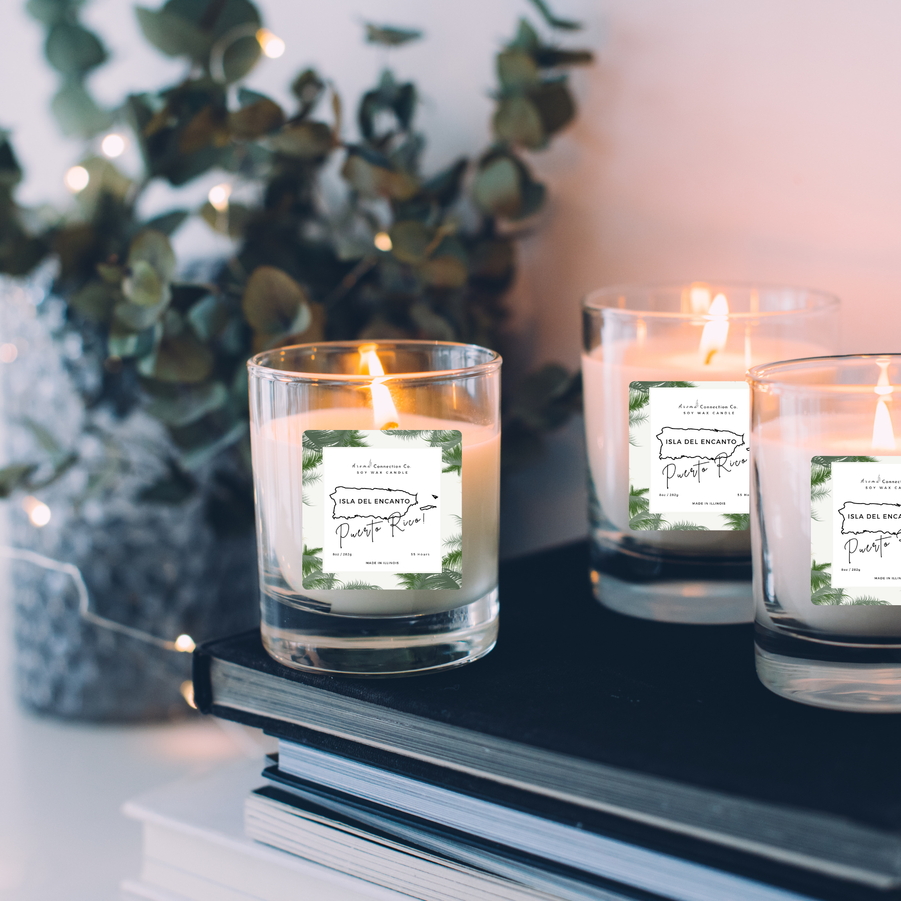Immerse yourself in the vibrant essence of Puerto Rico with "Isla Del Encanto," a candle that beautifully blends the refreshing scents of sand and sea salt with the delicate floral notes of orchids.