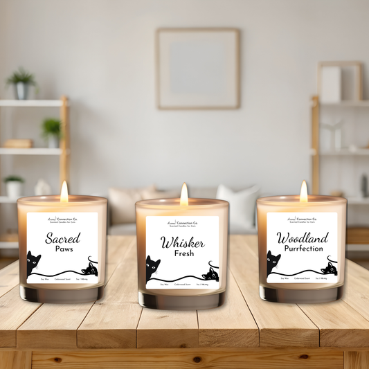 These candles ensures long-lasting freshness, making it perfect for keeping your home smelling great. 